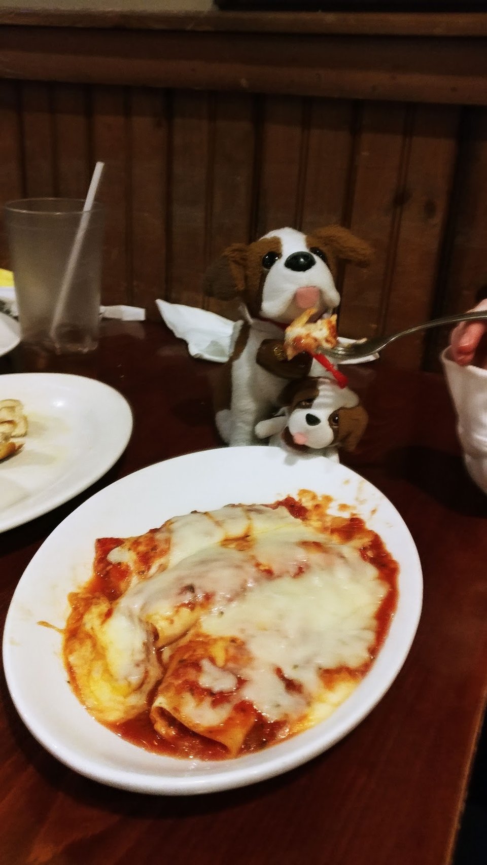 Charlie Testing the Manicotti