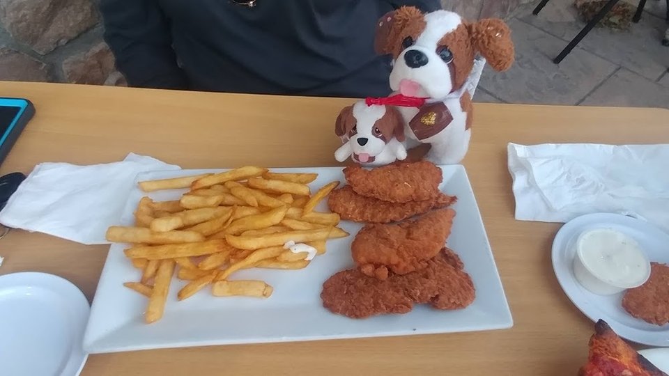 Chicken Fingers and Fries